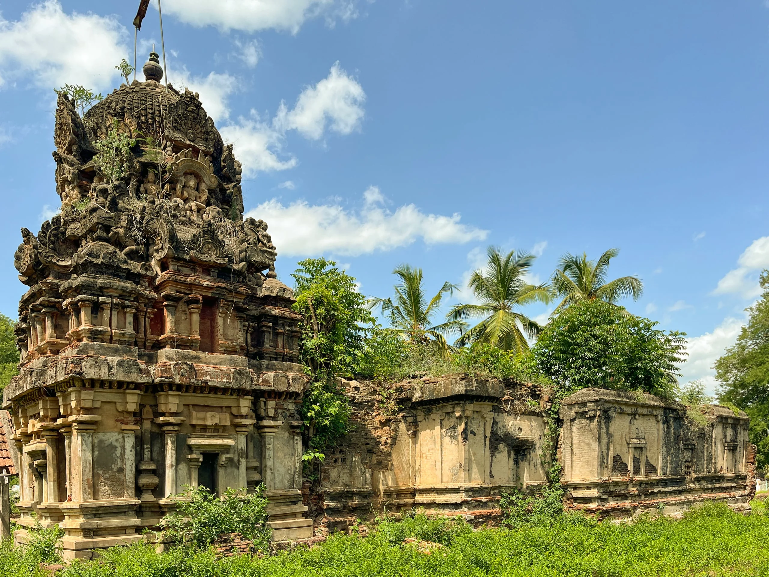 Weathered brick and stucco temple vimana and mandapa wall with niches set in tropical palms.